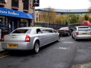 Professional Limo Service